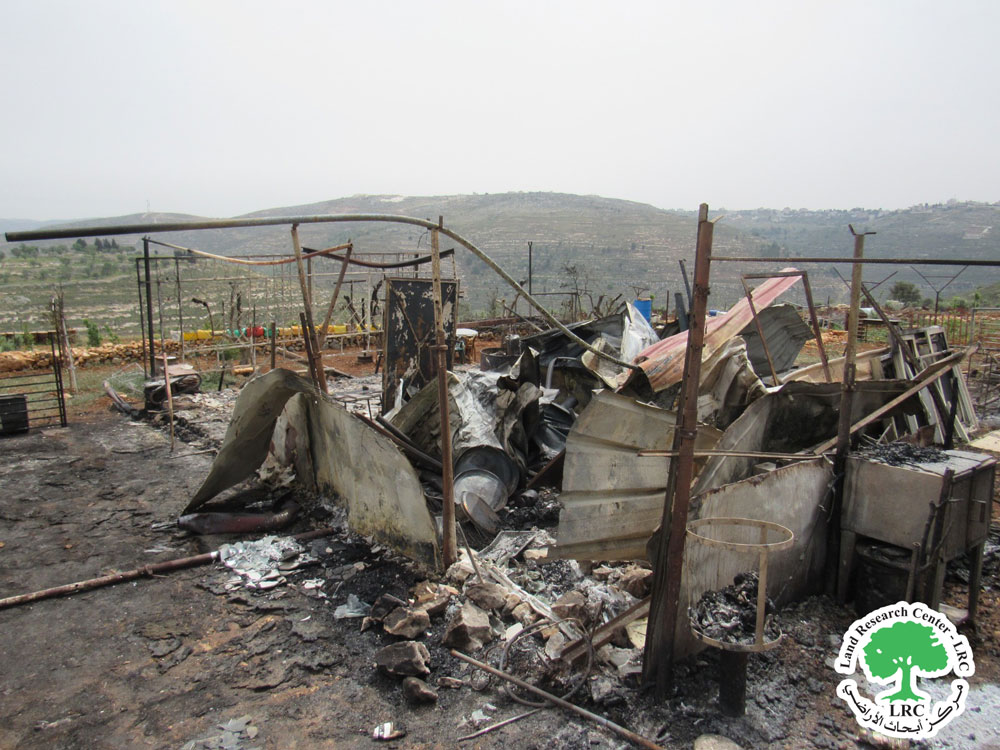 المستعمرون يحرقون منشآت زراعية  وأشجار  مثمرة في بلدة سنجل شمال رام الله | LRC