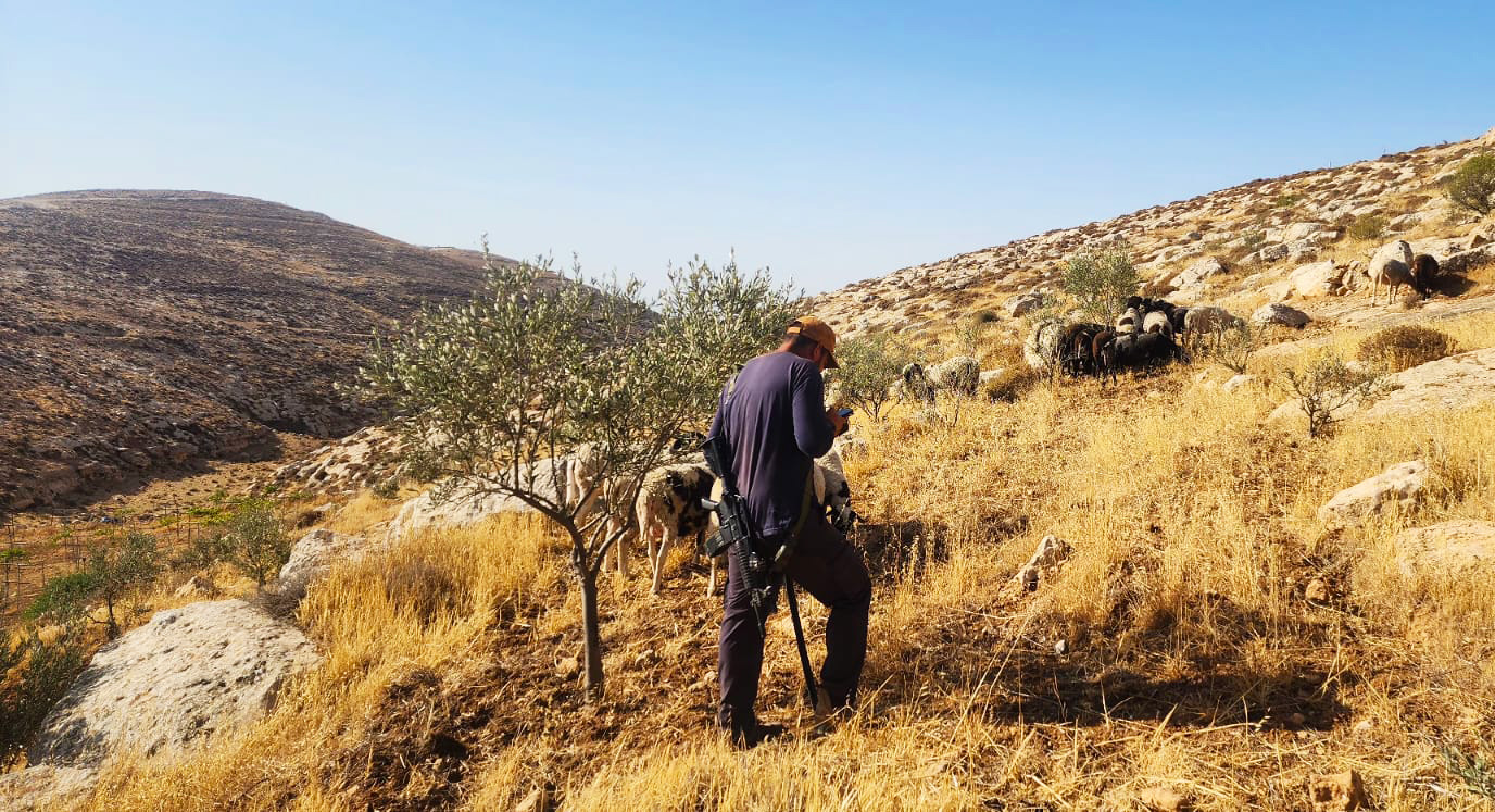 بعد السيطرة على المراعي وتدمير المزروعات ... الاستيطان الرعوي يسيطر على آبار المياه الزراعية في مسافر يطا/ جنوب الخليل | LRC