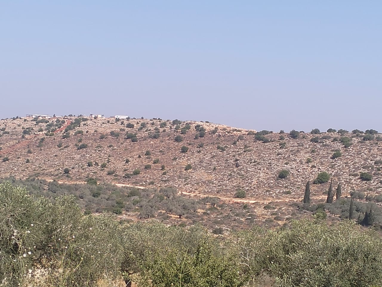 ينذر بالاستيلاء على مئات الدونمات الزراعية ... الشروع بشق طريق استعماري جديد على أراضي قرية فرخة جنوب سلفيت | LRC