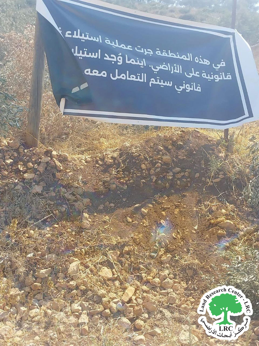 بحجة الاعتداء على "أراضي الدولة" .. الاحتلال يقتلع 220  شجرة زيتون  مثمرة  في قرية جلبون شمال جنين | LRC