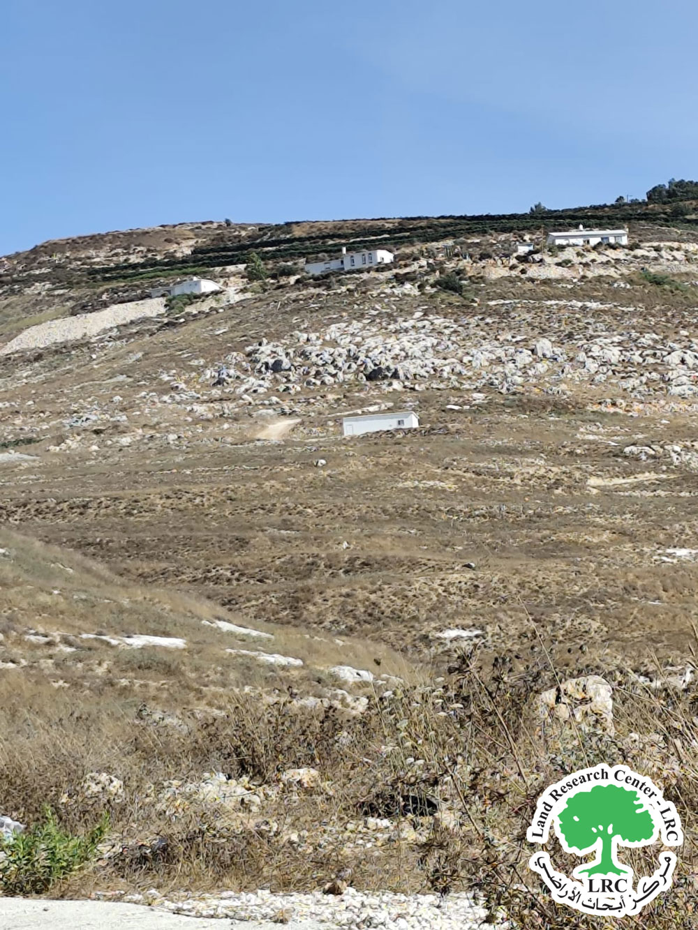 مستعمرون يقيمون بؤرة استعمارية جديدة على أراضي  قرية  بيت امرين شمال نابلس | LRC