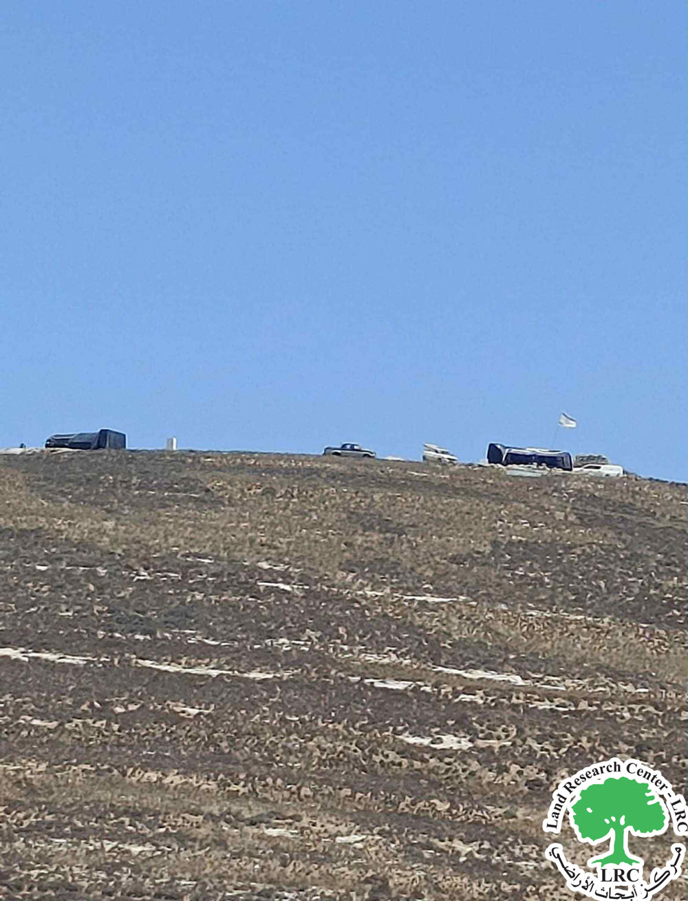 تهدد 340 دونماً مزروعة بالزيتون ... إنشاء بؤرة استعمارية رعوية جديدة على أراضي بلدة ديرستيا غرب سلفيت | LRC