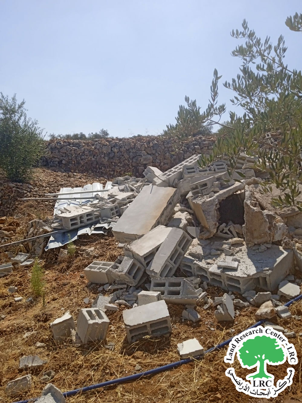 الاحتلال يهدم غرفة زراعية في قرية كفر قدوم شرق قلقيلية | LRC