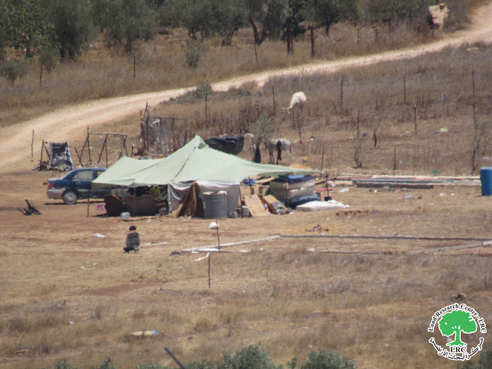 المستعمرون يعيدون إنشاء بؤرة إستعمارية جديدة في سهل بلدة ترمسعيا شمال رام الله | LRC