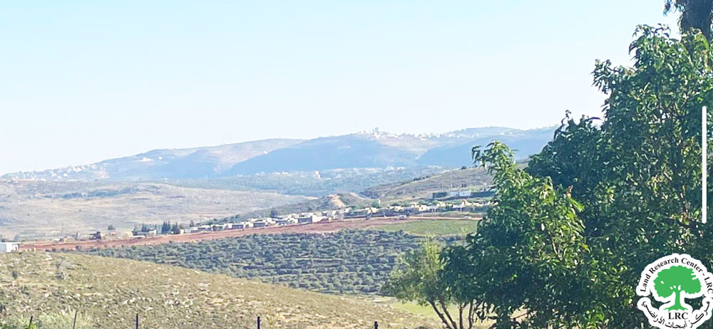 مستعمرون يجرفون 15 دونماً زراعياً لشق طريق استعماري على أراضي قريوت جنوب نابلس | LRC