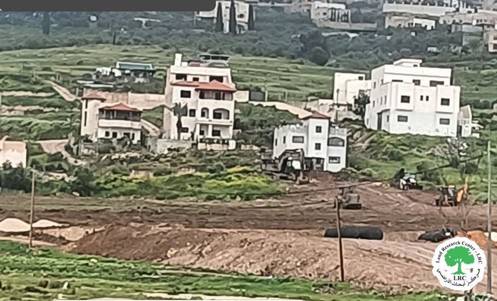 بذريعة أمنية ... جيش الاحتلال ويقتلع  12شجرة زيتون معمّرة في بلدة عرابة / محافظة جنين | LRC