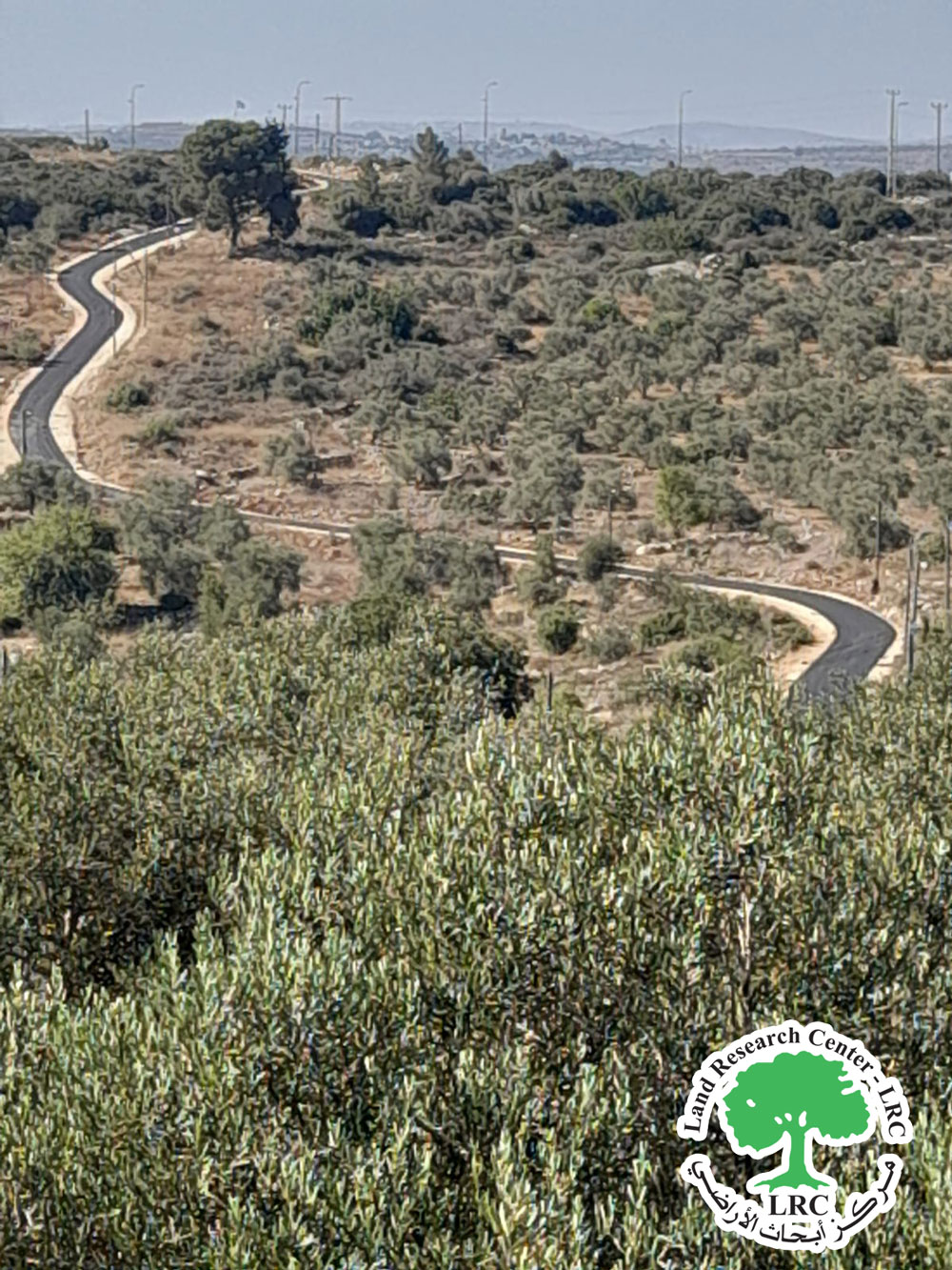 أدى إلى حرمان المزارعين من الوصول لأراضيهم ... تعبيد طرق استعمارية داخلية في مستعمرة  "رفافا" على أراضي قرية حارس / محافظة سلفيت | LRC