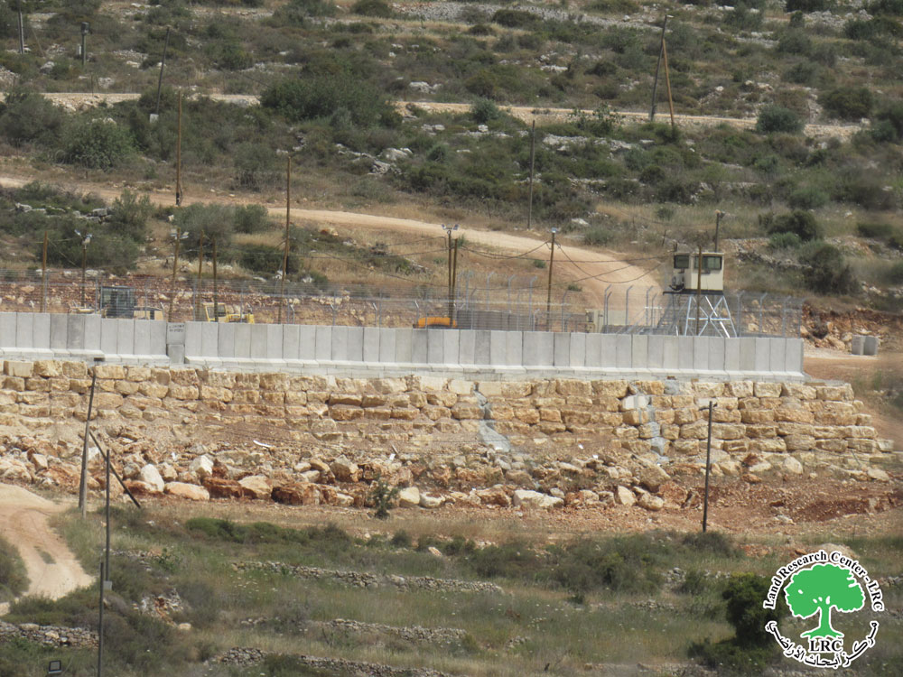 بعد أن قام بتجريف 3 دونمات زراعية .. جيش الاحتلال يقيم معسكراً جديداً وسط أراضي مشجرة بالزيتون في قرية يتما جنوب نابلس | LRC