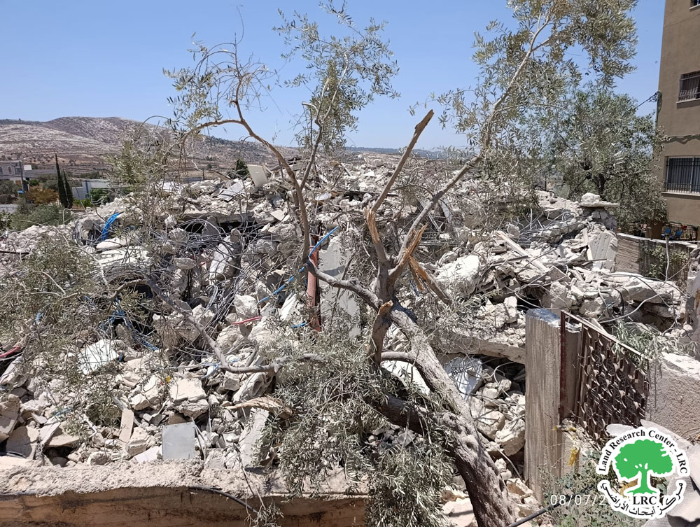 الاحتلال الإسرائيلي يهدم منشآت سكنية وزراعية  في قرية بيت سيرا غرب مدينة رام الله | LRC