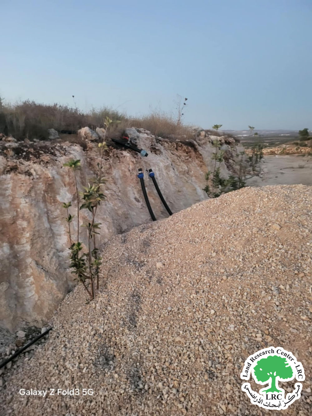 مستعمرون يعتدون على أشجار وممتلكات عائلة التكروري في بلدة كفر قدوم شرق قلقيلية | LRC