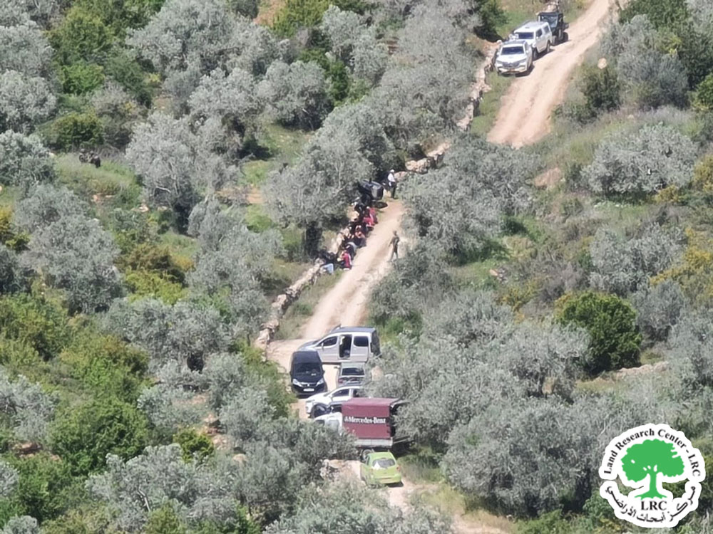 الأراضي الزراعية عرضةً للجفاف .. بعد أن حاول مستعمرو البؤرة الاستعمارية الجديدة السيطرة على نبع المياه وتخريب فوهة البئر التابعة للنبعة المغذية لقرية فرخة / محافظة سلفيت | LRC